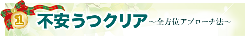 �y�P�z�w�s�����N���A�x�x�쎮�E�S���ʃA�v���[�`�@