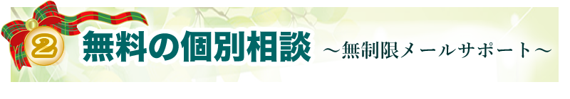 �y�Q�z�����̌ʑ��k���i�񐔖��������[���T�|�[�g�j