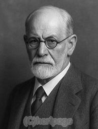 �S���w�ҁF�t���C�g�̏ё��摜