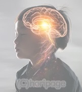 �q�������]����Ă���摜