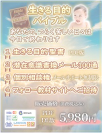 �d�q���Ёu������ړI�o�C�u���v�̏��i�摜